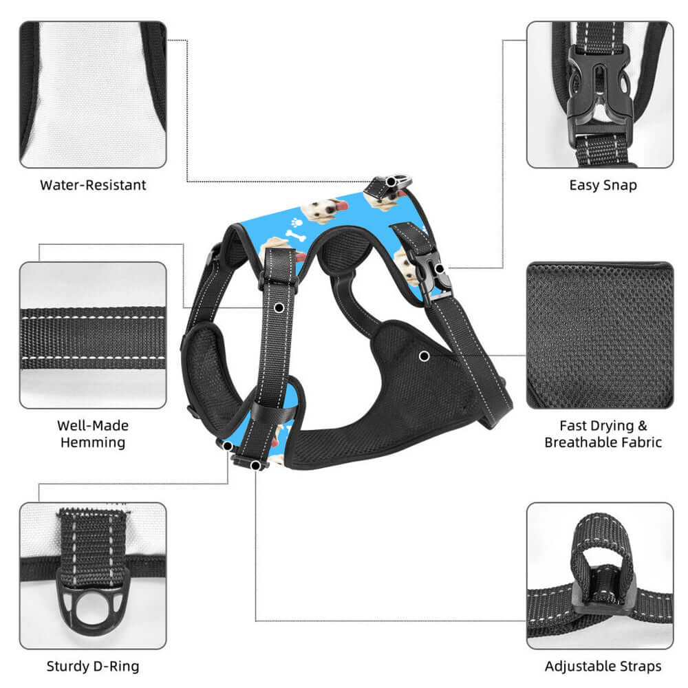 Custom dog harness features including water-resistant, breathable fabric, and sturdy D-ring Blue