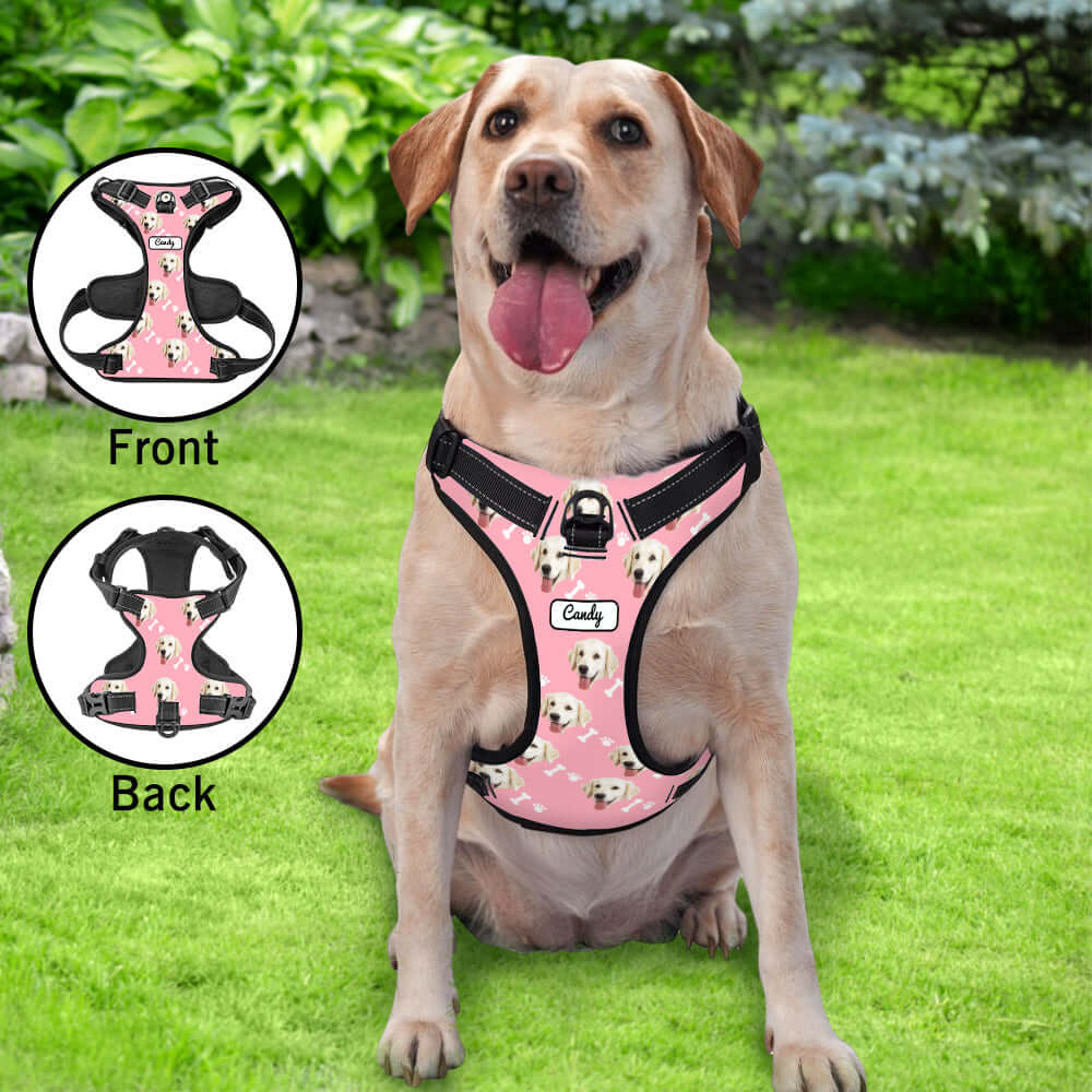 Front and back view of custom pink dog harness with Labrador face design and name tag
