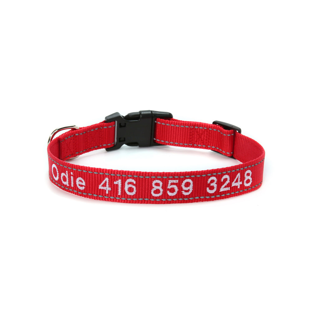 Personalized Dog Collar for Dog Leash